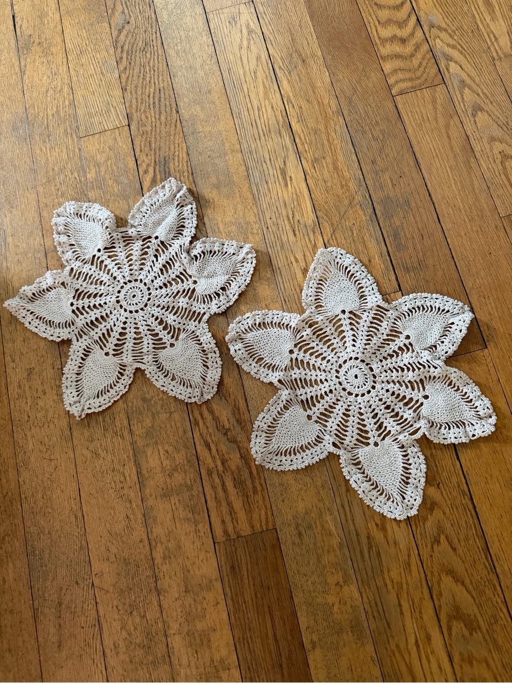 Handmade Crocheted Floral Doilies Pair in Cream